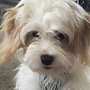 Meet your Posher, Maureen